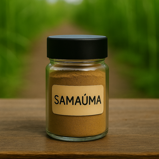 👑 Samaúma – Sahasrara (Corona)